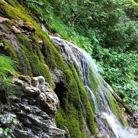 Johanna Tux
