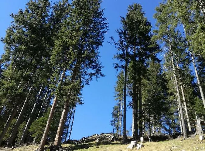 Appartement Johanna Tux