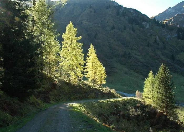 Johanna Appartement Tux