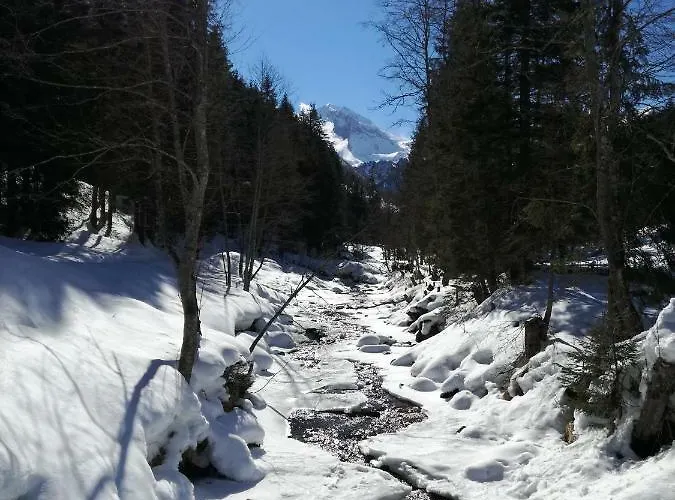 Johanna Appartement Tux