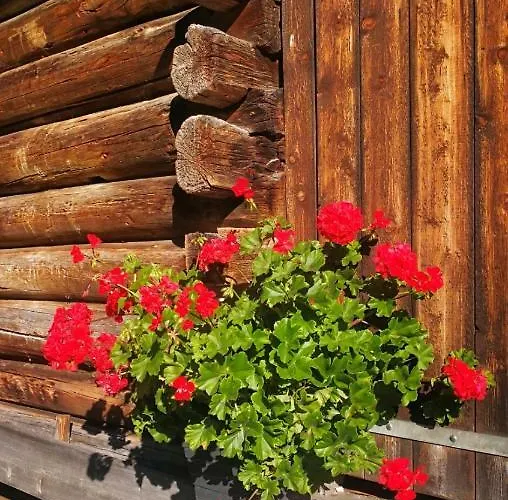 Johanna Appartement *